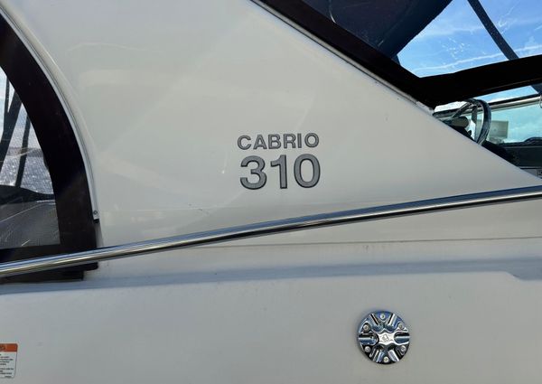 Larson Cabrio 310 image