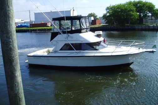 Phoenix 33 SFX Convertible