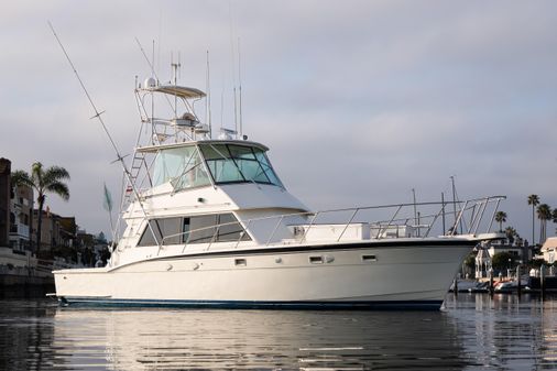 Hatteras Convertible image