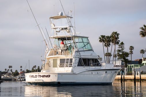 Hatteras Convertible image