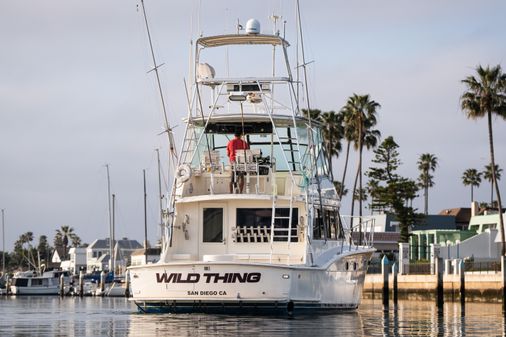 Hatteras Convertible image