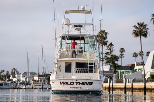 Hatteras Convertible image