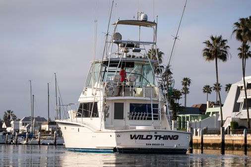 Hatteras Convertible image