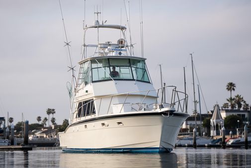 Hatteras Convertible image