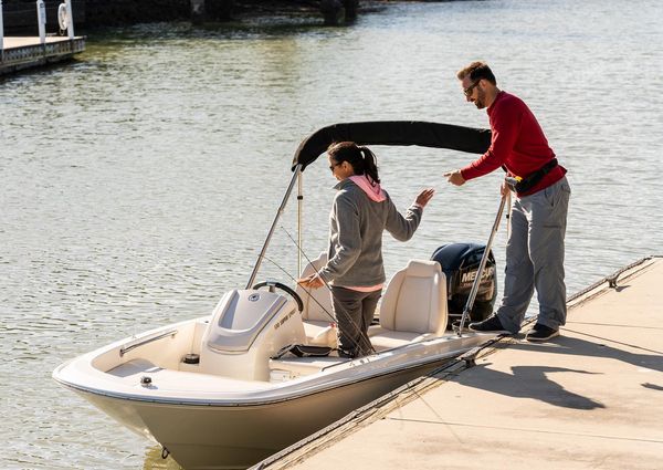 Boston-whaler 150-MONTAUK image