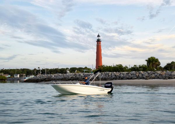 Boston-whaler 150-MONTAUK image