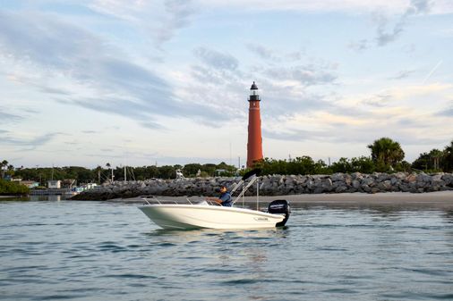 Boston-whaler 150-MONTAUK image