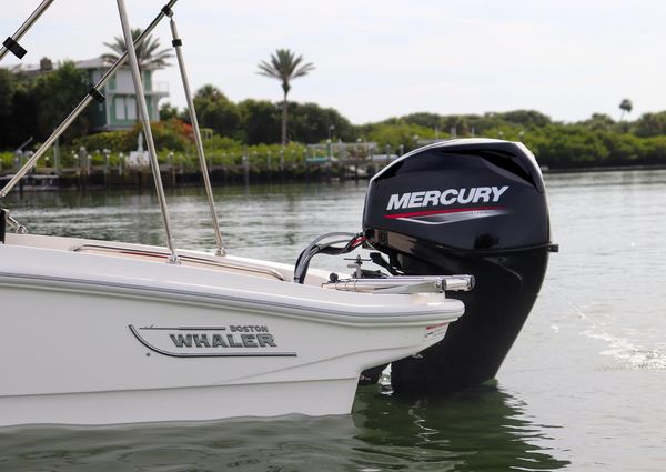 Boston-whaler 150-MONTAUK image