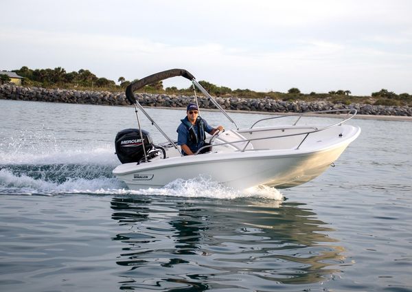 Boston-whaler 150-MONTAUK image