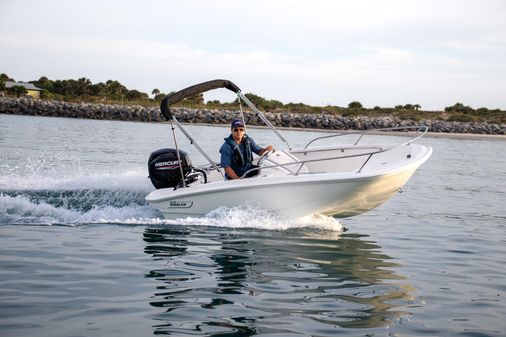 Boston-whaler 150-MONTAUK image