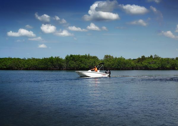 Boston-whaler 150-MONTAUK image