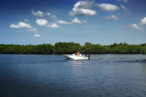 Boston-whaler 150-MONTAUK image