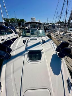 Sea Ray 310 Sundancer image