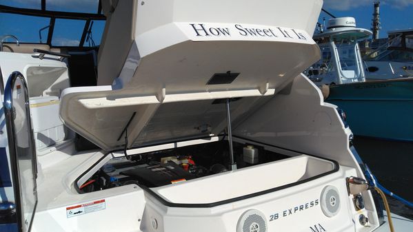 Regal 28 Express image