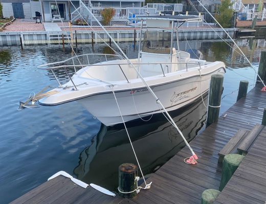 Seaswirl-striper 2301-CENTER-CONSOLE-O-B - main image