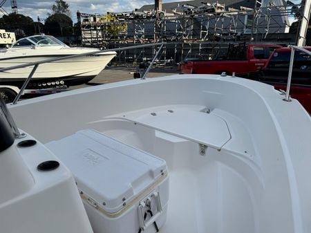 Boston-whaler 18-DAUNTLESS image