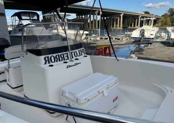 Boston-whaler 18-DAUNTLESS image