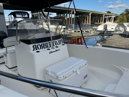 Boston-whaler 18-DAUNTLESS image