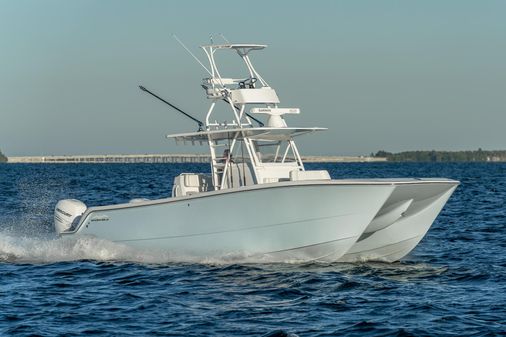 Invincible 35 Catamaran image