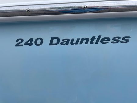 Boston-whaler 240-DAUNTLESS image