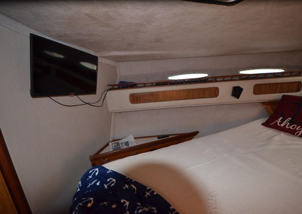 Sea-ray 360-AFT-CABIN image