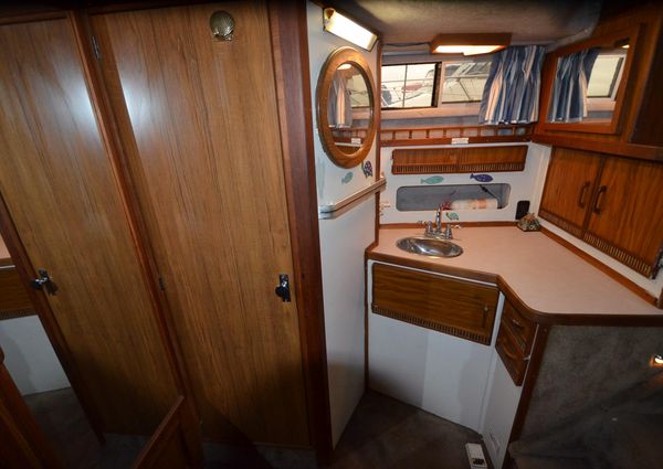 Sea-ray 360-AFT-CABIN image