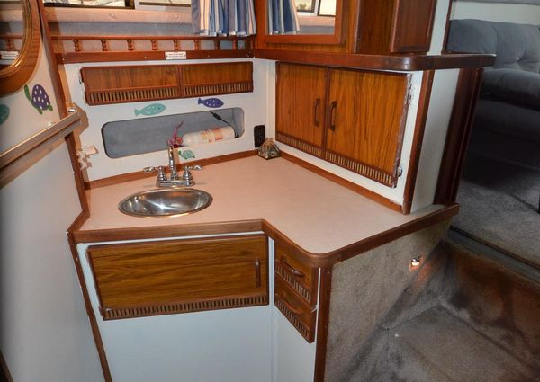 Sea-ray 360-AFT-CABIN image