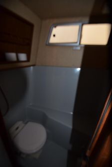 Sea-ray 360-AFT-CABIN image