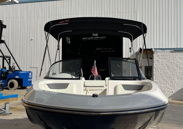 Bayliner Element E21 image