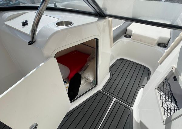 Bayliner Element E21 image