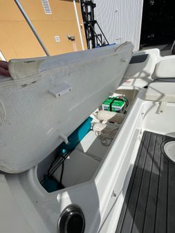 Bayliner Element E21 image