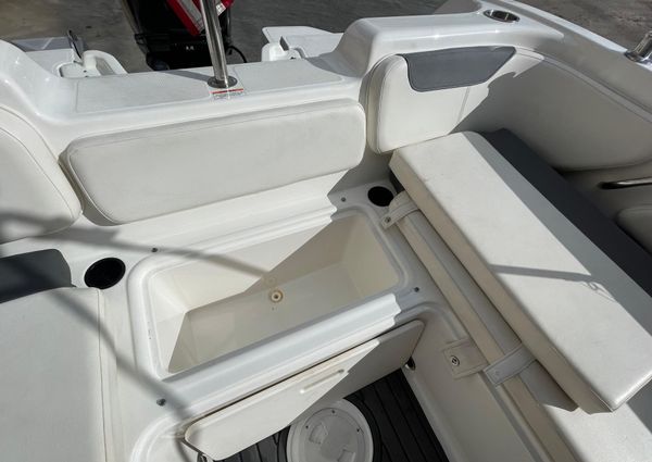 Bayliner Element E21 image