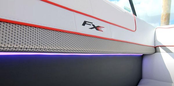 Formula 350 FX6 image