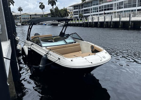 Sea Ray 250SDX-OB image