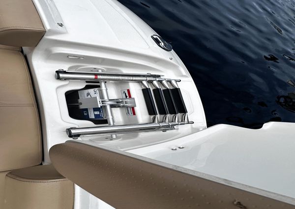 Sea Ray 250SDX-OB image