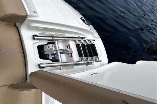 Sea Ray 250SDX-OB image