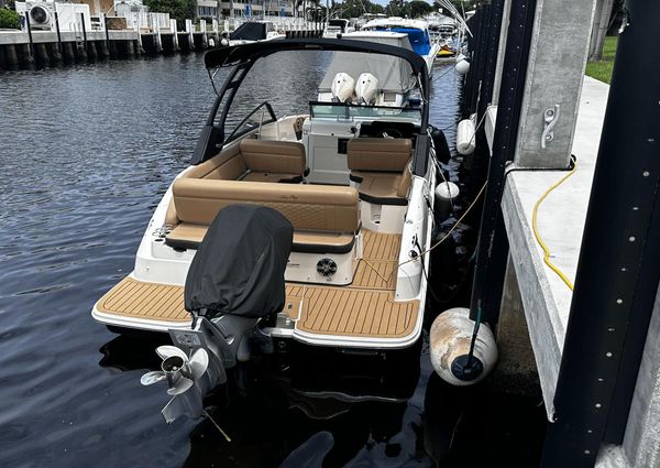 Sea Ray 250SDX-OB image