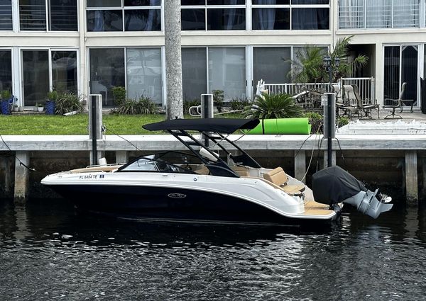 Sea Ray 250SDX-OB image