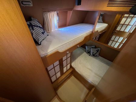 Mochi Craft 54' Dolphin image