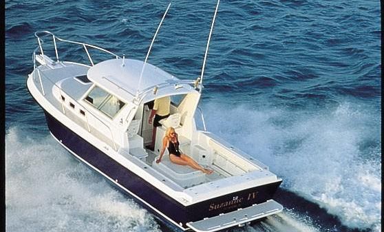 Albin 28 Tournament Express