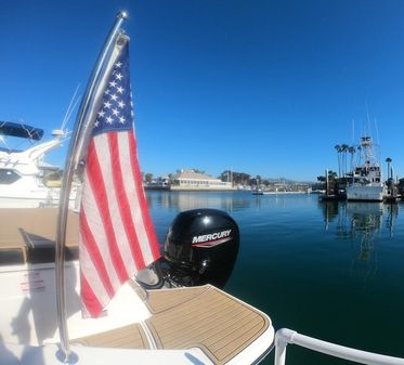 Sea Ray SPX 230 OB image