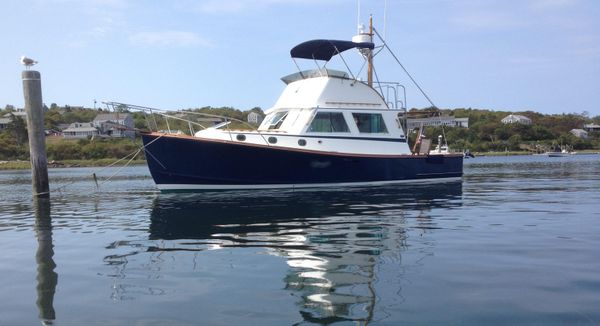 Wilbur 34-FLYBRIDGE image