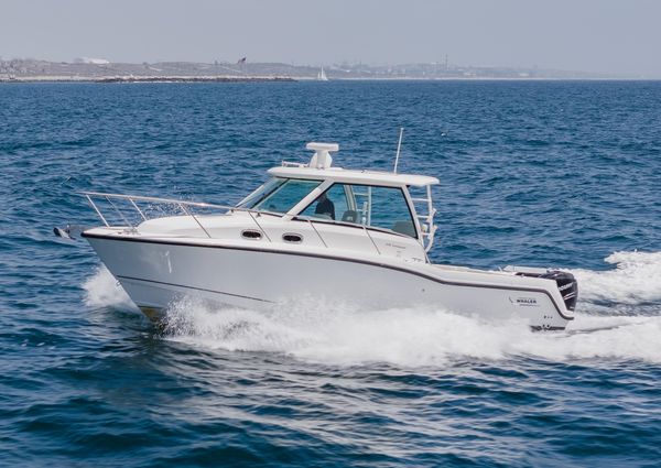 Boston Whaler 315 Conquest image