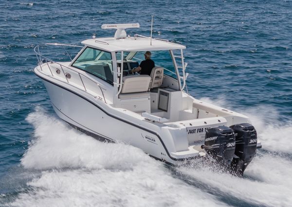 Boston Whaler 315 Conquest image