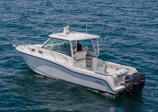 Boston Whaler 315 Conquest image