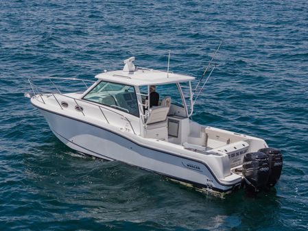 Boston Whaler 315 Conquest image