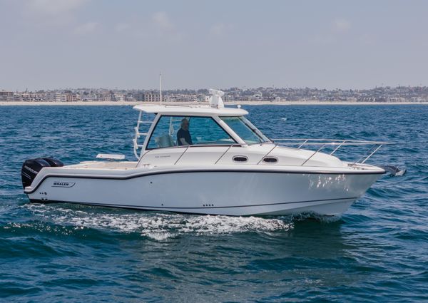 Boston Whaler 315 Conquest image