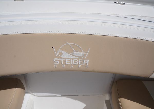 Steiger-craft 255-DV-CENTER-CONSOLE image