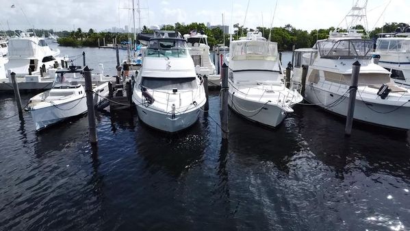 Carver 466 Motor Yacht image