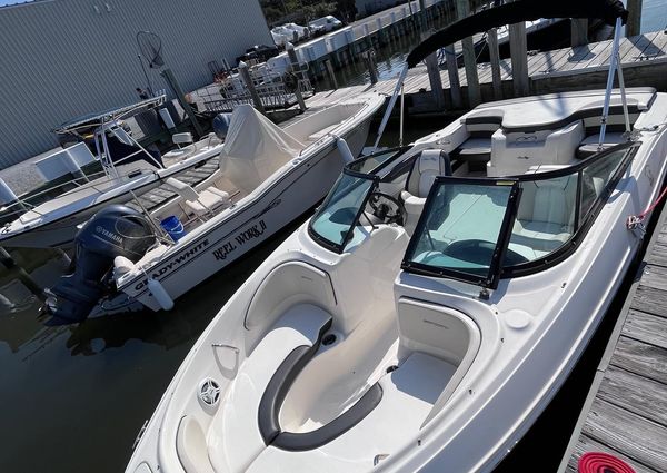 Sea-ray 205-BOW-RIDER image